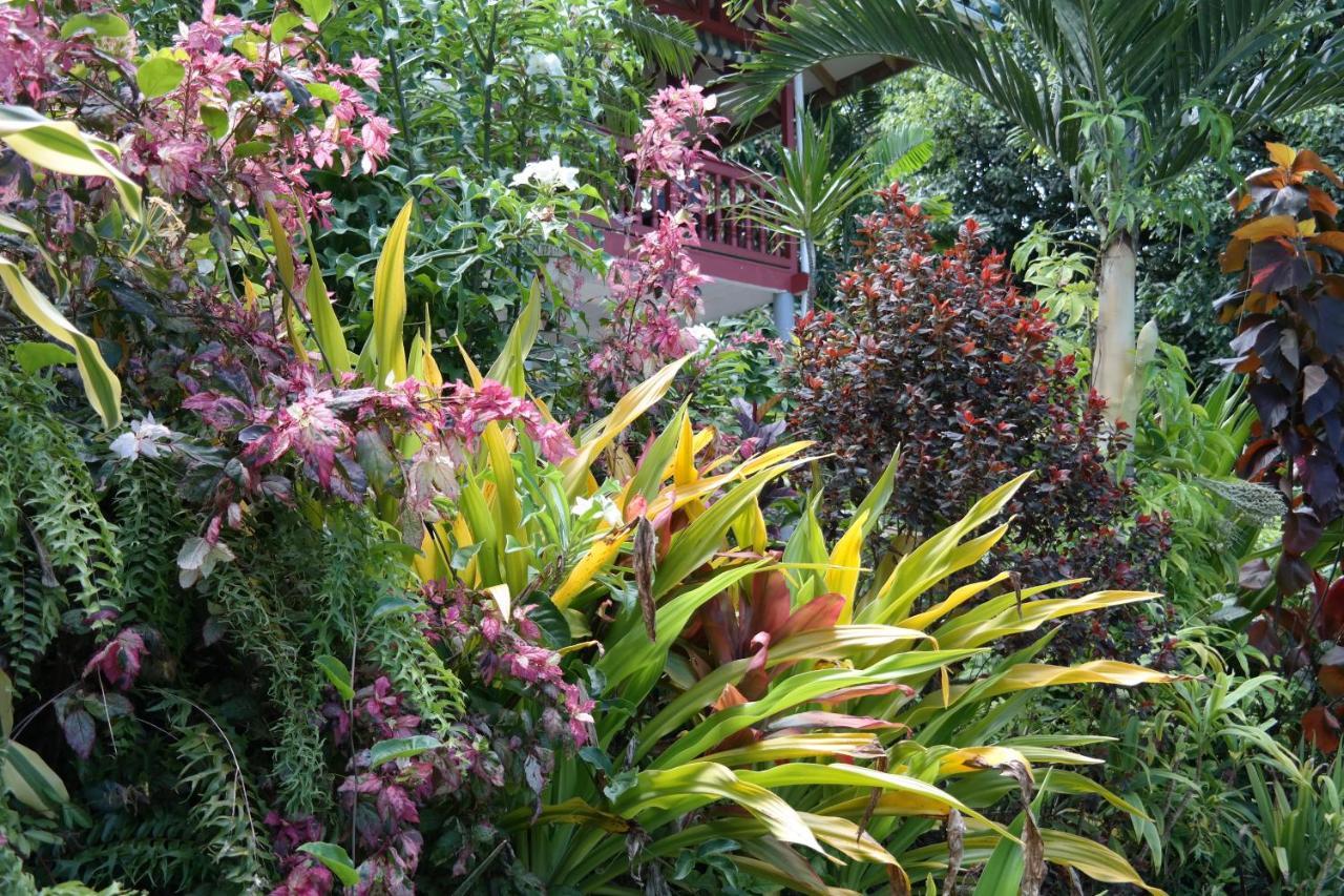 Muri Retreat Apartments Rarotonga Extérieur photo