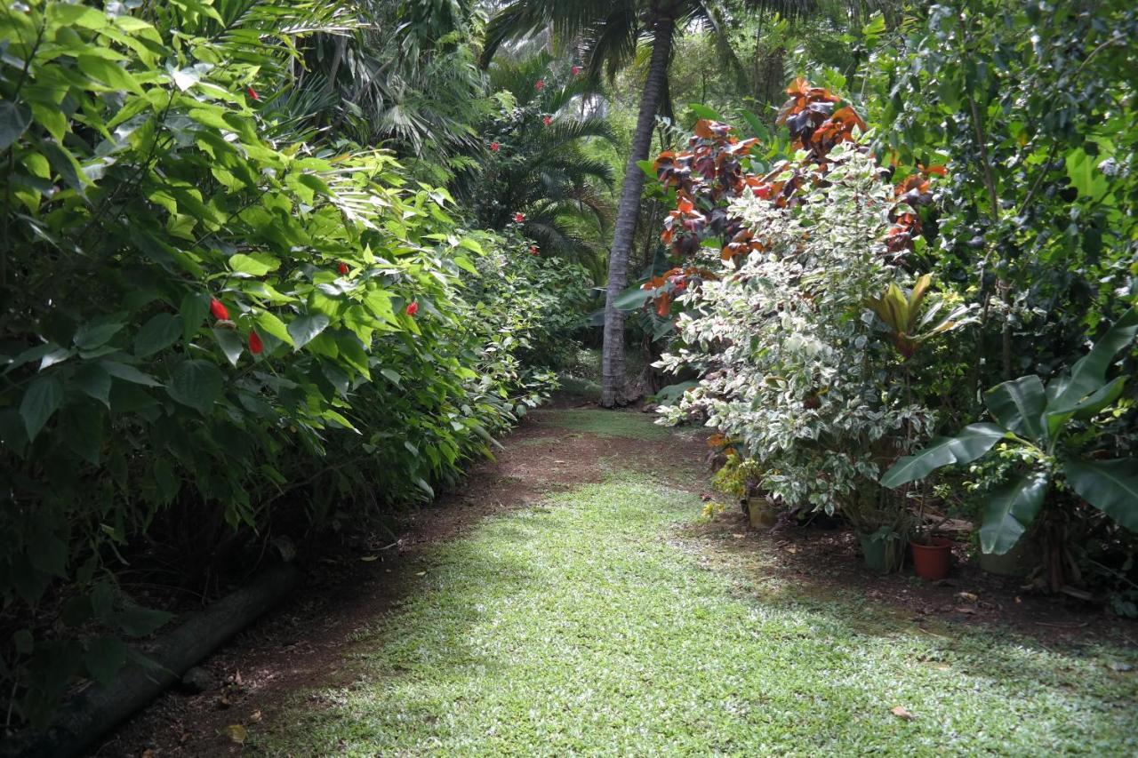 Muri Retreat Apartments Rarotonga Extérieur photo