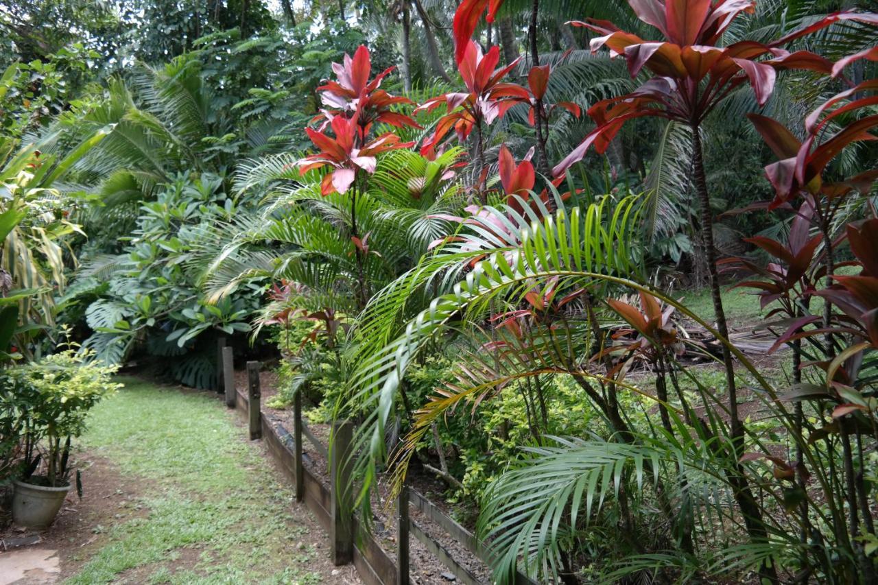 Muri Retreat Apartments Rarotonga Extérieur photo